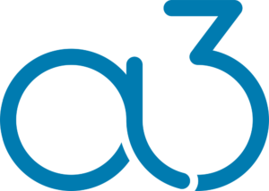 А3